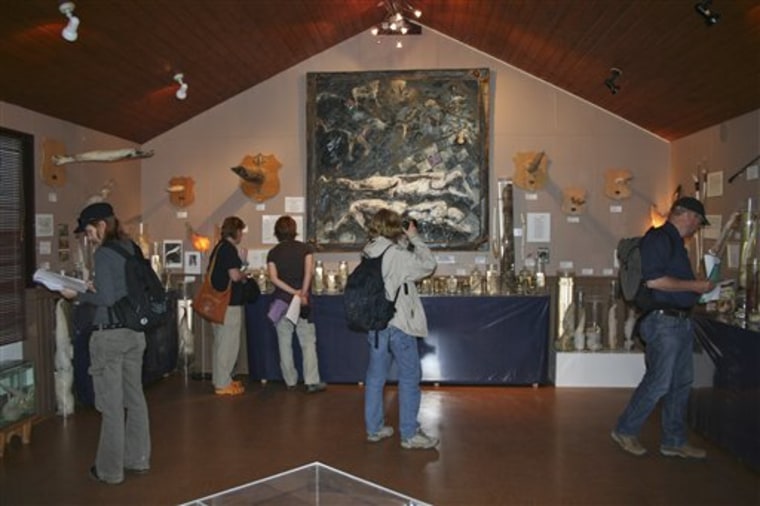 Visitors walk around the exhibits of phalluses from whales, seals, bears and other mammals April 12 at the Phallological Museum in the tiny Icelandic fishing town of Husavik. 